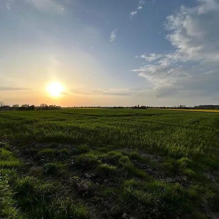 4 Star In Haderslev *