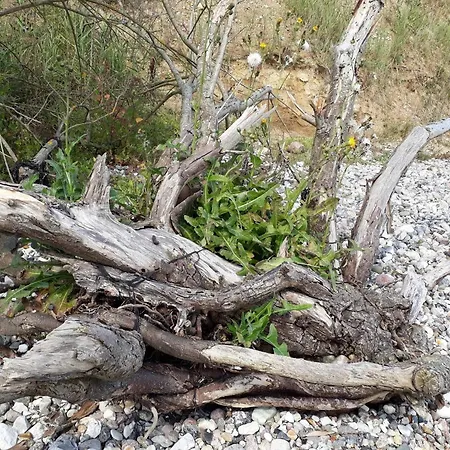 Casa vacanze 6 Person In Haderslev-by Traum *